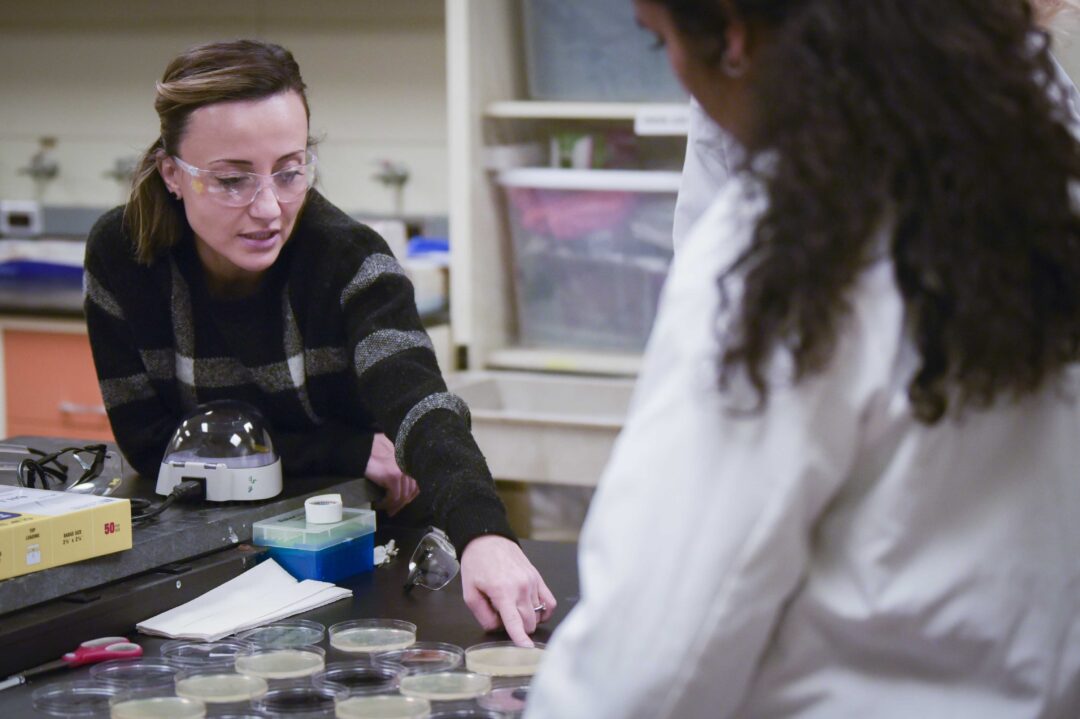 professor pointing out growth on petri dish
