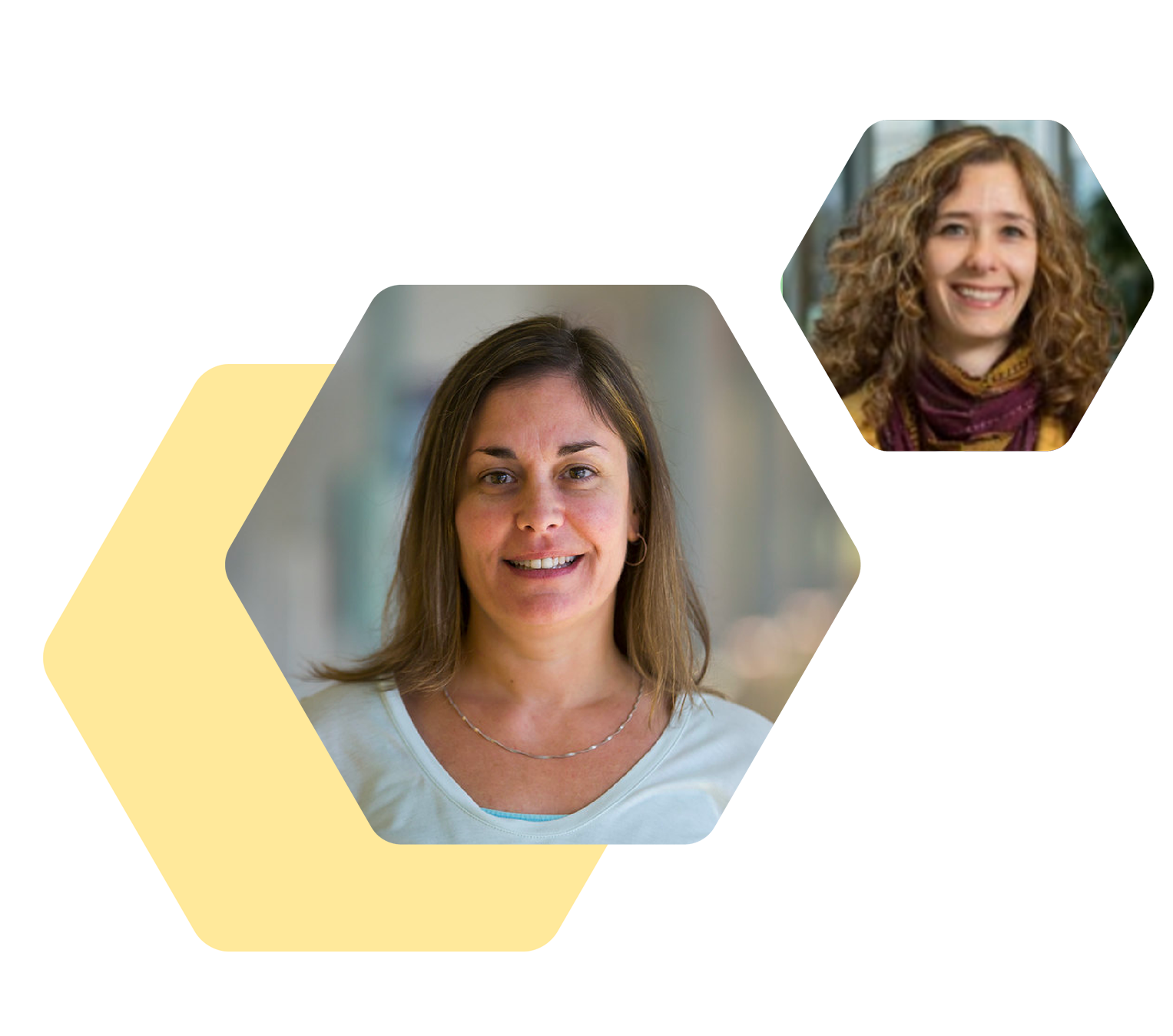 Large hexagon with staff Krista Quinn next to smaller hexagon of faculty Rachael Schmedlen