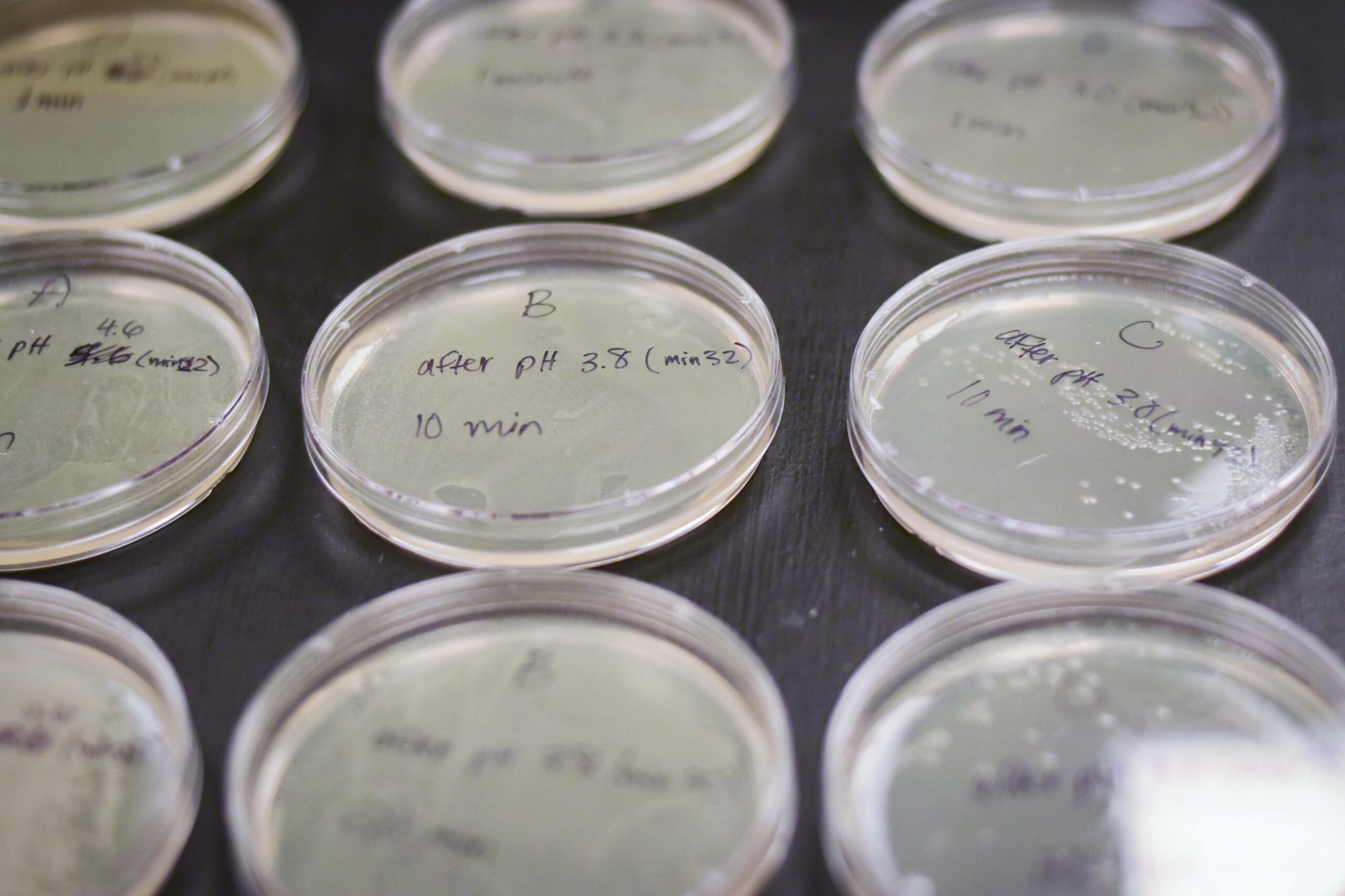 Student drilling two pieces of wood together